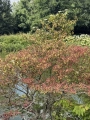 IMG_8070 Duży.jpeg