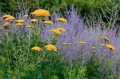 AdobeStock_184408082 Duży.jpeg