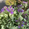 AdobeStock_792035352.jpeg