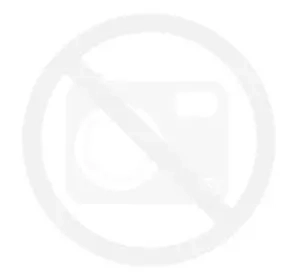 Bodziszek 'Karen Wouters' 